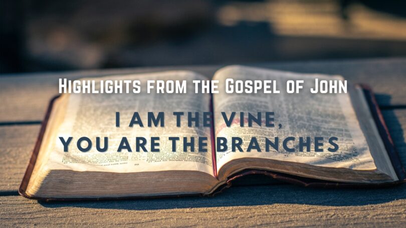 October 15 - I Am the Vine, you are the Branches