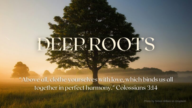 2024-02-25 Deep Roots - Colossians 3_14